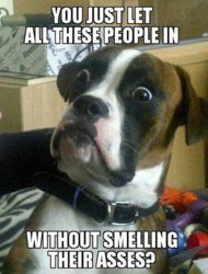 smellingasses.jpg