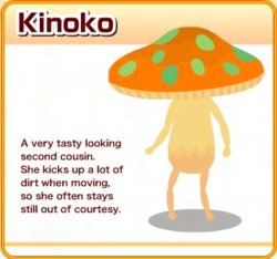 kinoko.jpg