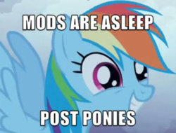 ModsAreAsleepPostPonies_6433.jpg