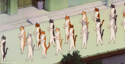 post-35656-marching-anime-cats-gif-Ghibli-2jmq.gif