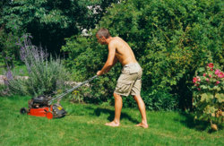 galactic6cuttingthelawn.jpg