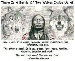 battle of 2 wolves.jpg