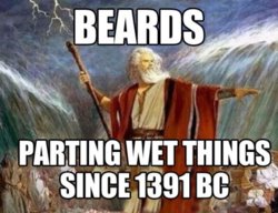 funny Beards.jpg