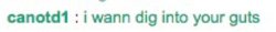 Diginto.jpg