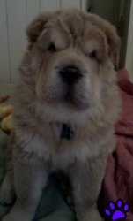 IMG122-picsay.jpg