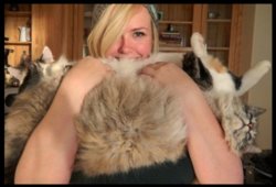 catlady.jpg