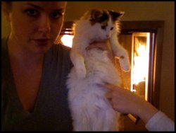 thiscatisFAT.jpg