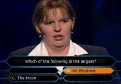 funny-who-wants-to-be-a-millionaire.jpg