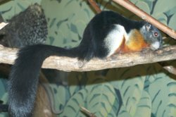 100_0764.JPG