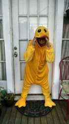 duck4.jpg