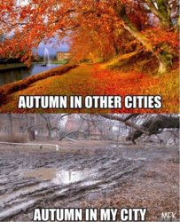 -Autumn-MEME.jpg