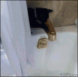 Oh,shit.gif