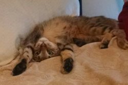 _20141127_193532.JPG