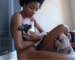 Jealous Dog.jpg