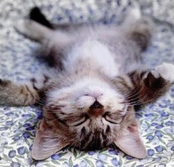 sleeping_2.jpg