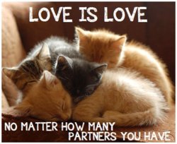 Polyamorous cats.jpg