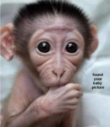 babypics.jpg