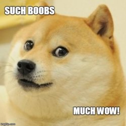 doge boobs.jpg