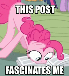 ponie2.gif
