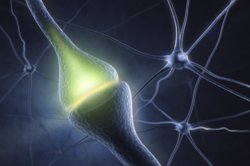 iStock_000016558229_Medium.jpg
