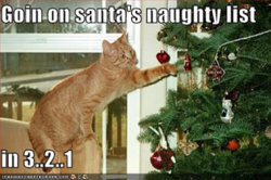 cat ornament.jpg