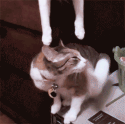 IWuvYou.gif