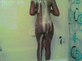 Bubbly Shower Gif.gif