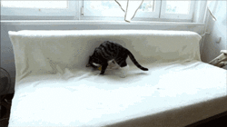 just got a little dizzy.gif