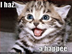 LOL-Cat-is-Happy.jpg