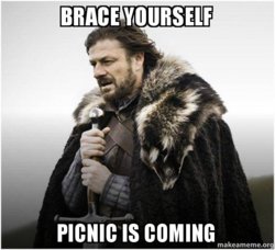 brace-yourself-picnic.jpg