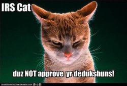 What-would-meme-roundup-without-token-cat-IRS-cat.jpg