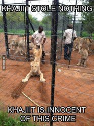 Kajit stole nothing.jpg