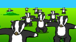 badgers.jpg