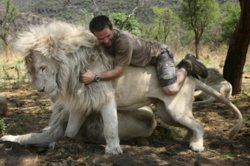 1219399-bigthumbnail.jpg