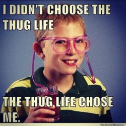 thug-life-meme-glasses.jpeg