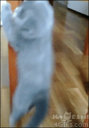 funny ki yipee yipee.gif