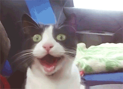 10025279_23_245_176.gif