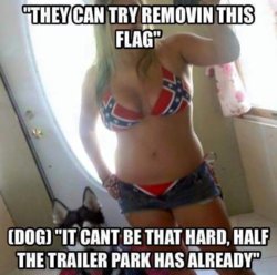 Remove this Flag.jpg