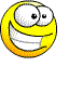 giphy.gif
