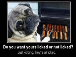 licked.gif
