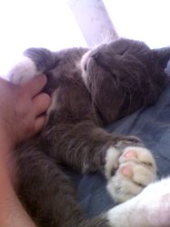 tummyrub.jpg