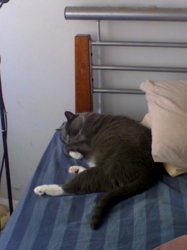 9am.jpg