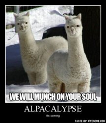 tasteofawesome.com_ALPACALYPSE.jpg