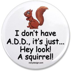 Hey look!  A squirrel!.jpg