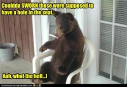 funny-pictures-grunt.jpg