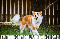 Ruthie_TakeMyBallHome.gif