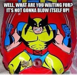 wolverine blowup.jpg