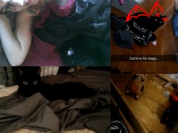 toothless.jpg