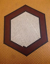 ocd 7.jpg