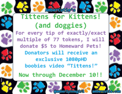 kittenscharity.png